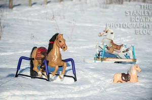 Photo of toy horses in snow