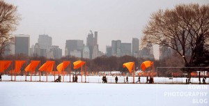 Central Park New York with Christo's The Gates