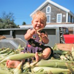 Photos of Baby at Farmer's Market