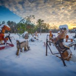 Photo of toy horses in field at sunset