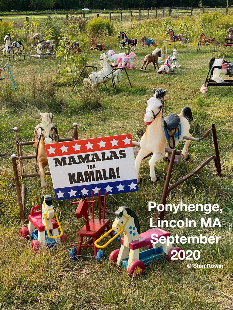 Mamalas for Kamala - Ponyhenge, Lincoln MA